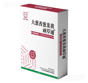 ���[�����[�����S�B��ͨ-���A����