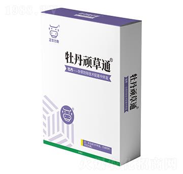 ĵ���B��ͨ-���A����