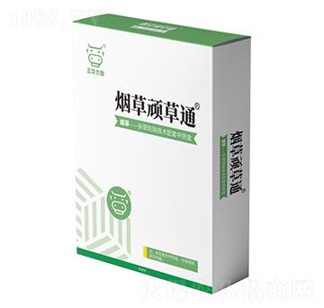 �����B��ͨ-���A����