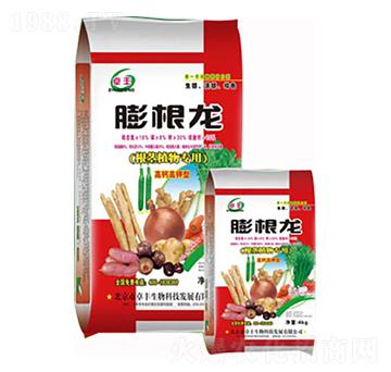 根莖植物專用-膨根龍-康博肥業(yè)