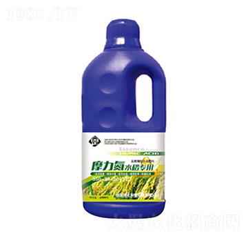 Ħ����ˮ������׷��-������