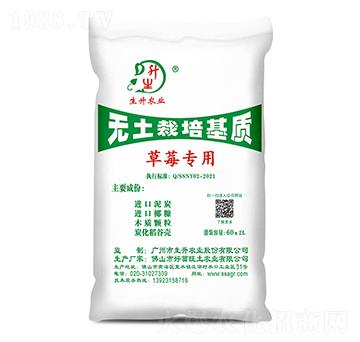 草莓專用無土栽培基質(zhì)-生升農(nóng)業(yè)