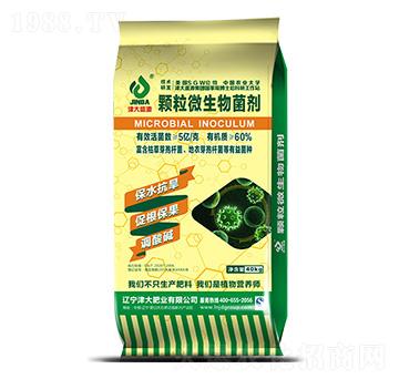 顆粒微生物菌劑-津大肥業(yè)