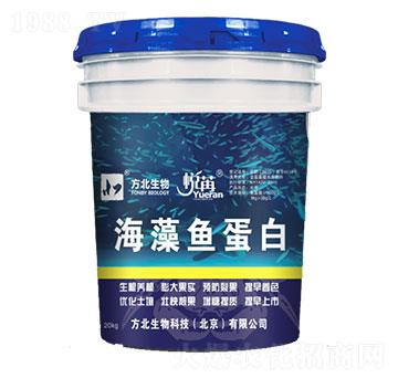 海藻魚(yú)蛋白-方北生物
