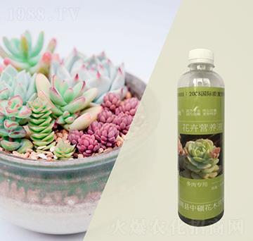 多肉類專用花卉營養(yǎng)液-林保姆-碩林肥料