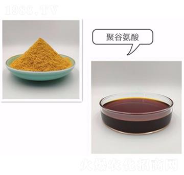 聚谷氨酸-倍沃達