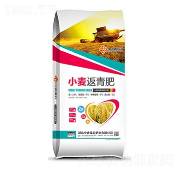小麥返青肥-宏福中盛