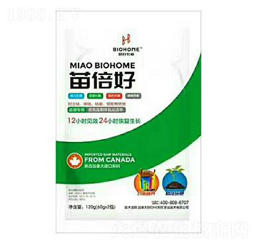 ���ڌ����籶��-�����r�I(y��)