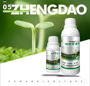 ֲ��I(y��ng)�B(y��ng)��-��������