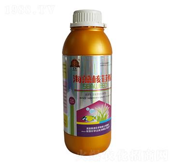 ���������-(li��n)�ջ��W(xu��)