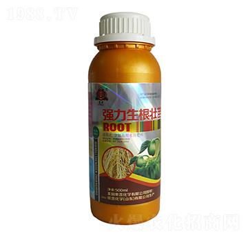��(qi��ng)����������-(li��n)�ջ��W(xu��)