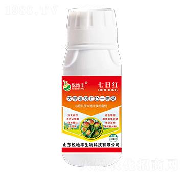 ��������ɫһ���`-�����S