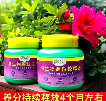 ΢�����w����ጷ�-������