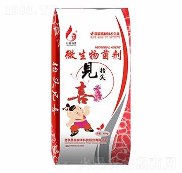 ΢����������w����̧�^Ҋϲ-���W����