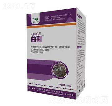 ����-�W�SԴ