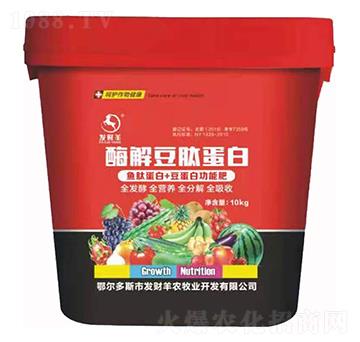 酶解豆肽蛋白-發(fā)財(cái)羊