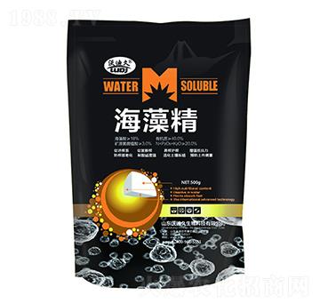 ���徫-�ֵϾ�