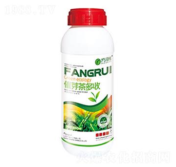 催芽茶多收-方瑞