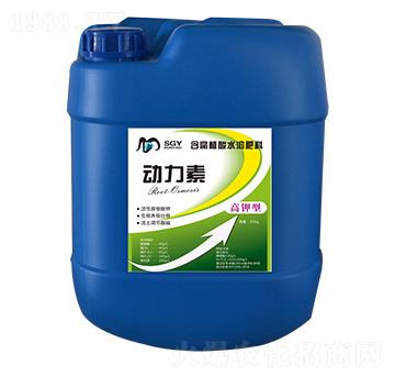 動(dòng)力素-申晶雅