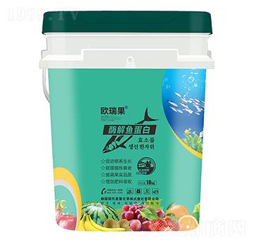 ø���~����-�W���-ʥ�ɶ�