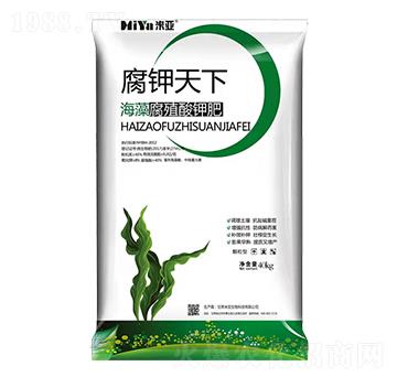 ���帯ֳ��⛷�-�������-�ׁ�����