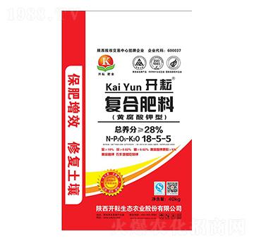 �S������͏ͺϷ���18-5-5-�_��