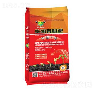 �����ЙC��-�Є�1̖-��ţ