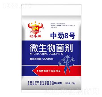 �Є�8̖΢�������-��ţ