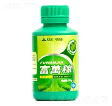 ���݌�(zhu��n)���~���-���f(w��n)�