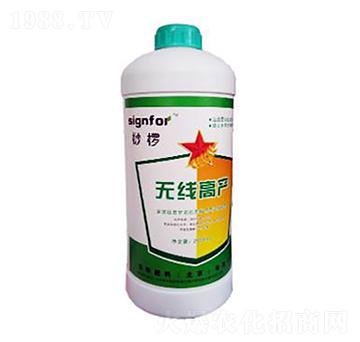 �o���߮a(ch��n)-���A����