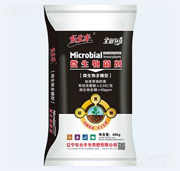 ΢�������΢�������-