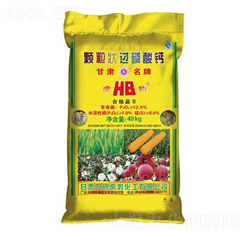 �w�����^�����}-���y����