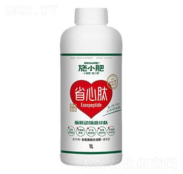 ø���(d��ng)��ԴС��-ʩС��