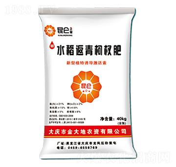 水稻返青柯杈肥-昆侖之美-永利科技