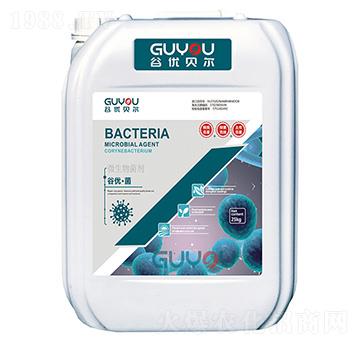 ΢�������-�ȃ�(y��u)����-�ȃ�(y��u)ؐ��