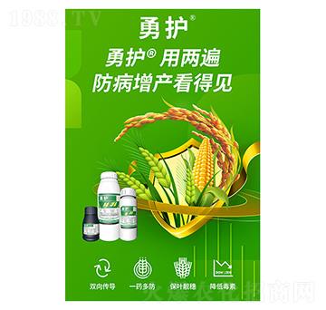 ���o(h��)-�����A��