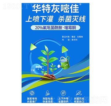 20%��������������ùͪ-�A�ػ��׼�-�����A��