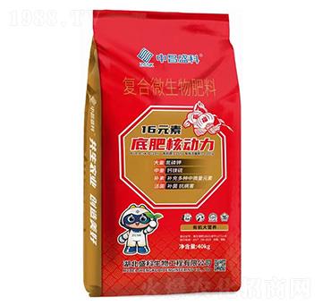 ��(f��)��΢�������-�в�ʢ��-ʢ������