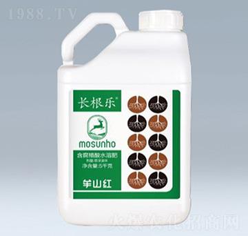 長(zhǎng)根樂(lè)含腐植酸水溶肥-草莓圈