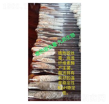 �ȟ��Ԃ���ù-б��ԇ�ܾ��N-�Ű�����