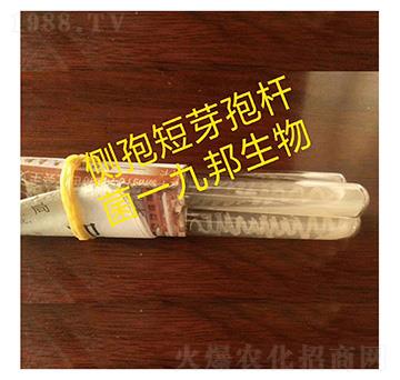 ����ѿ�ߗU��-б��ԇ�ܾ�-�Ű�����