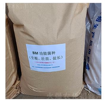 BM����ʹ��ܾ�������������L��-�Ű�����