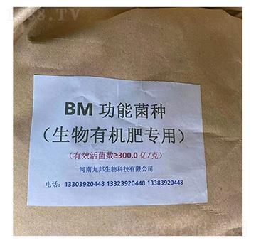 ���ܾ�����ʌ���-�Ű�����