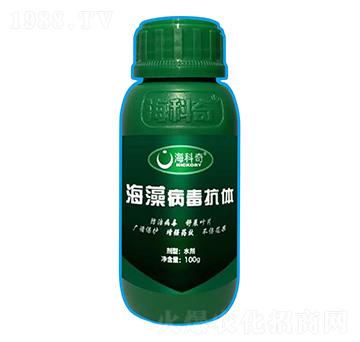 ���岡�����w-������