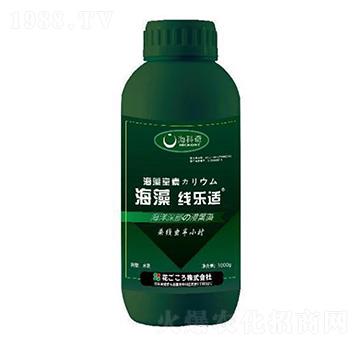 ���往���m-������