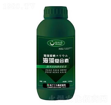 ����ͺ���-������