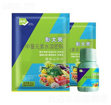 中量元素水溶肥料-彭大亮-鴻鳴