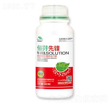 高端茶葉營(yíng)養(yǎng)活力素-催芽先鋒-宇東植康-圣金肥業(yè)