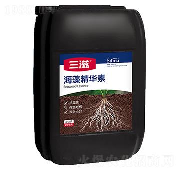 ���徫�A��-����-�G����