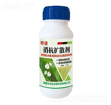 �����Uɢ��-���E-����������